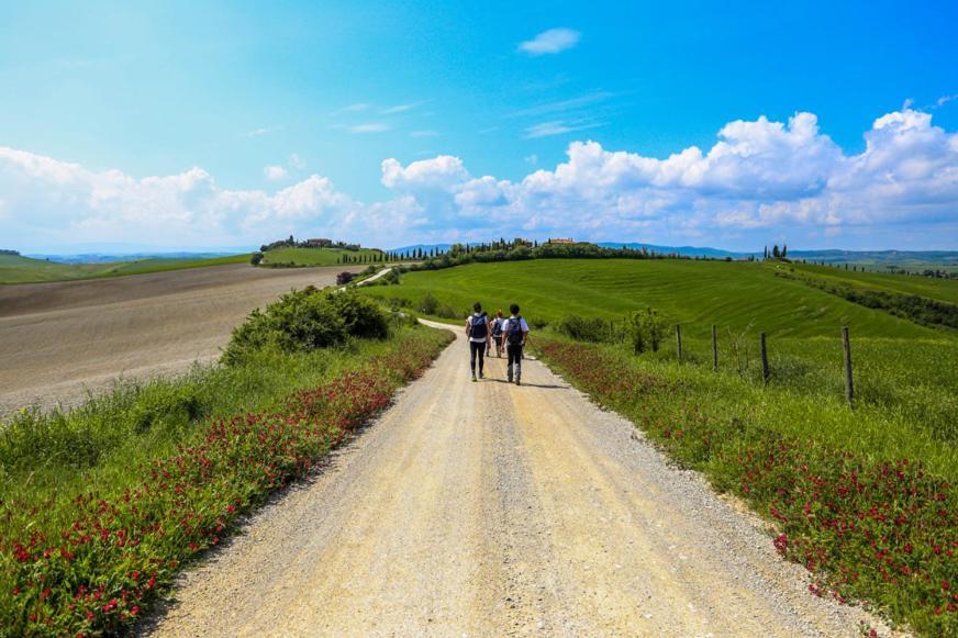 Podere Il Granaio - Crete Senesi - Tuscany Siena Buitenkant foto