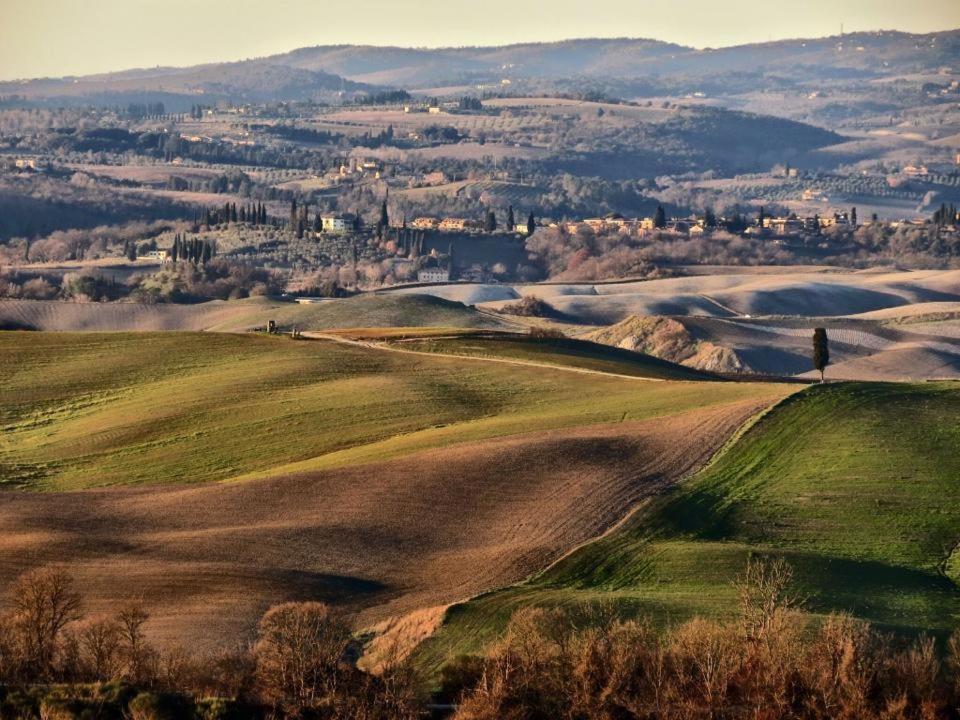 Podere Il Granaio - Crete Senesi - Tuscany Siena Buitenkant foto