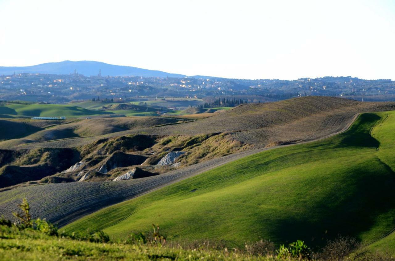 Podere Il Granaio - Crete Senesi - Tuscany Siena Buitenkant foto