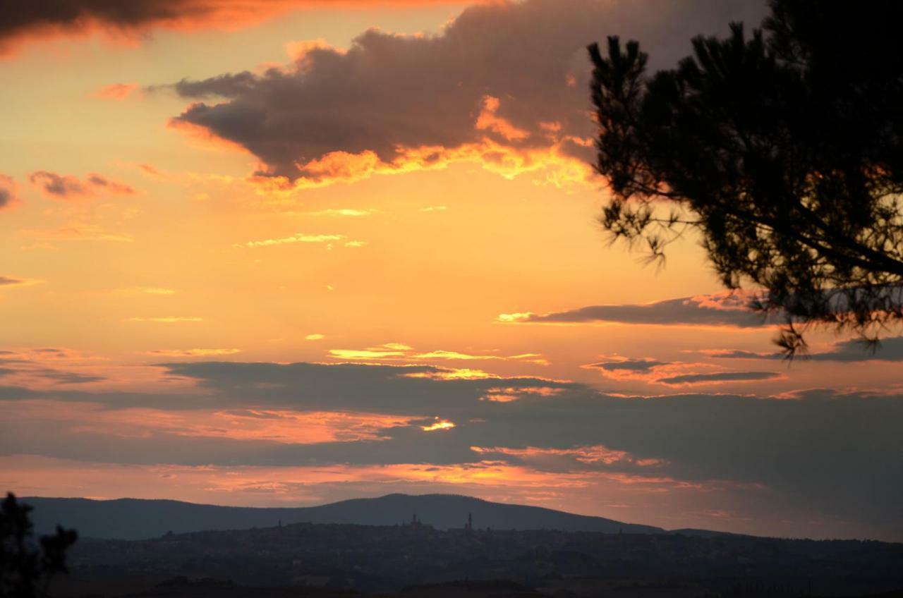 Podere Il Granaio - Crete Senesi - Tuscany Siena Buitenkant foto