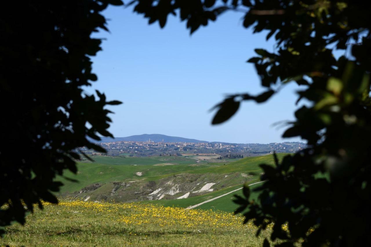 Podere Il Granaio - Crete Senesi - Tuscany Siena Buitenkant foto