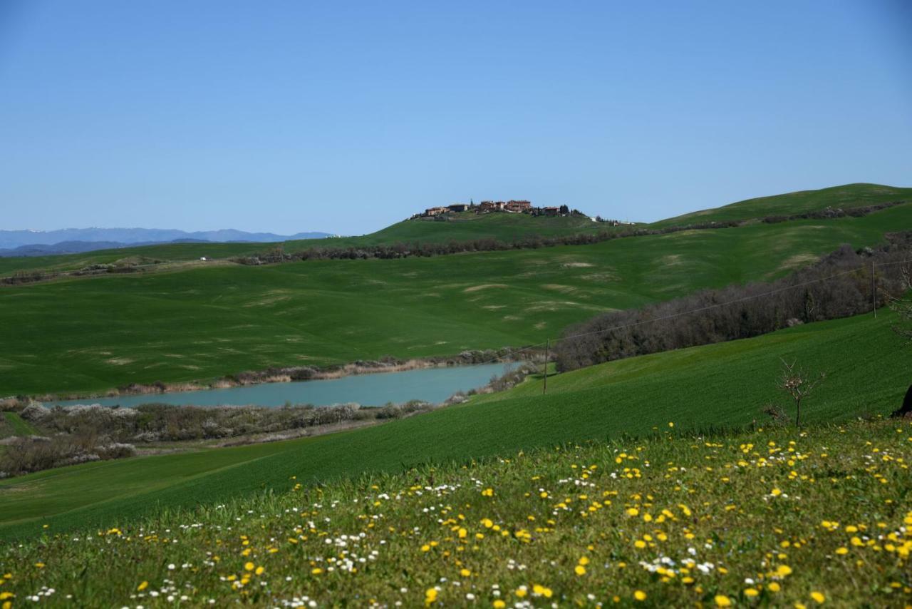 Podere Il Granaio - Crete Senesi - Tuscany Siena Buitenkant foto